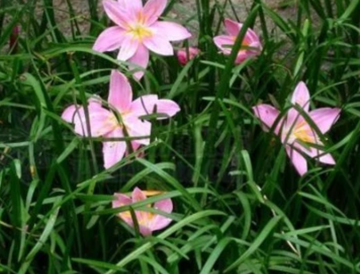 image-20221008下午30816990